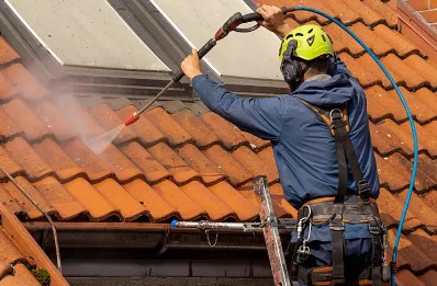Démoussage et hydrofuge de toiture à Rivières-le-Bois